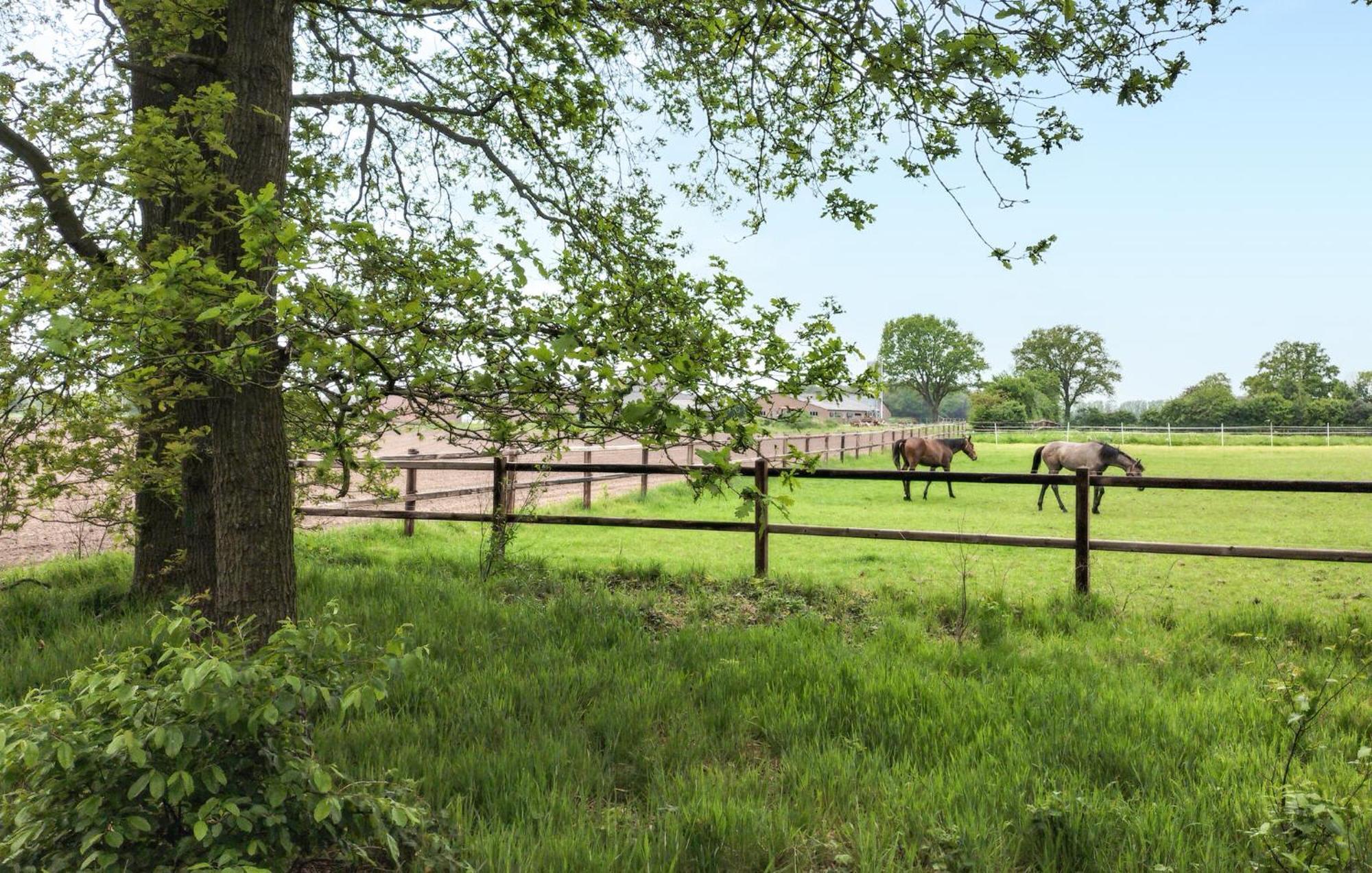 Nice Home In Hellendoorn With Wifi Buitenkant foto